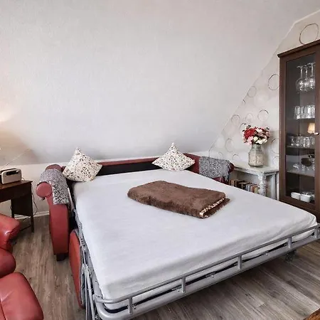 Appartement Friesennest *
